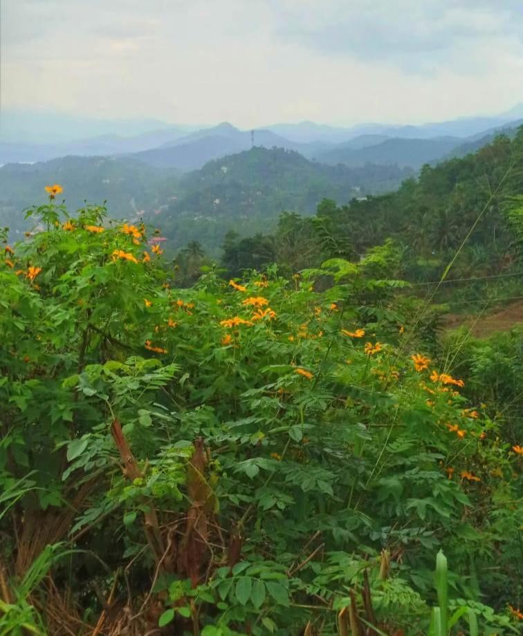 Kandy Ivy Mountain View Resort Exterior foto