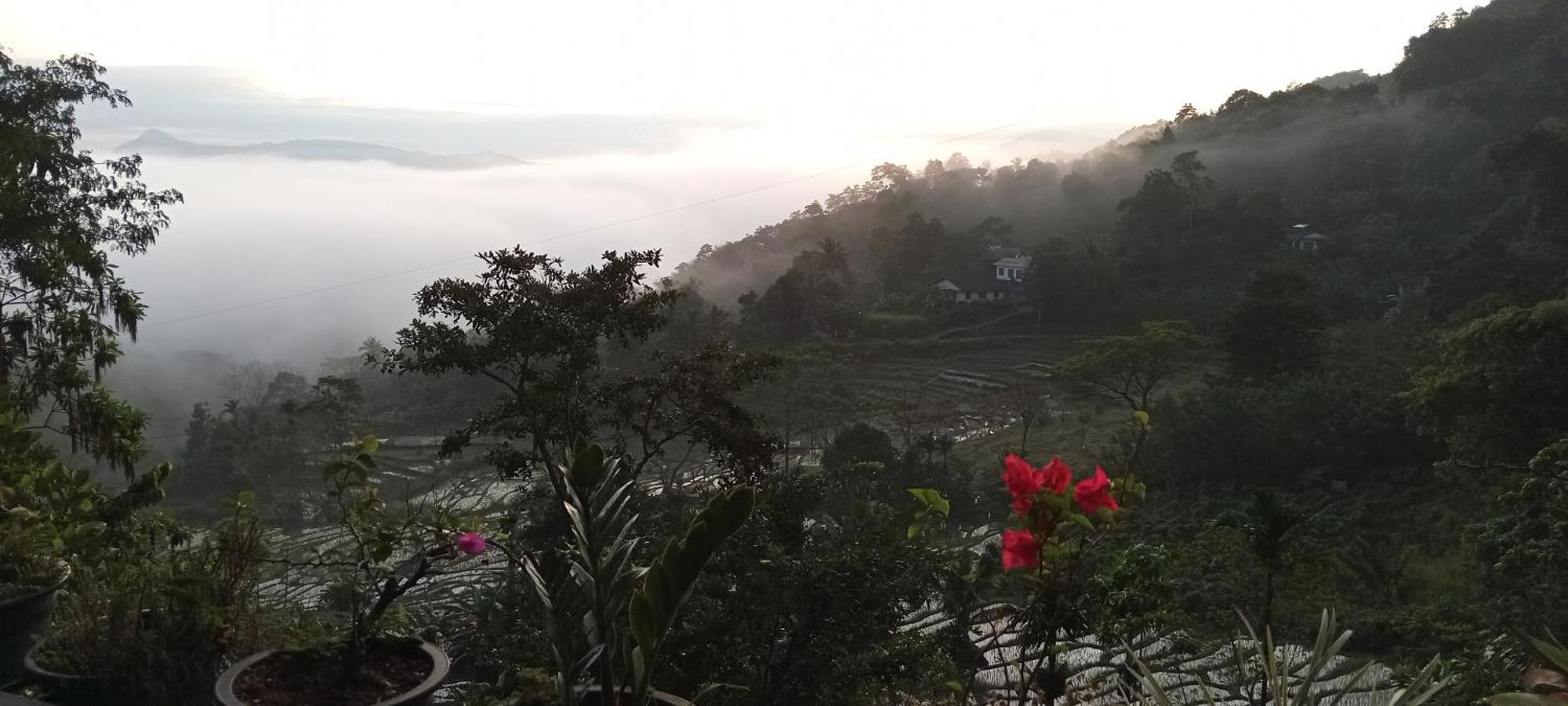 Kandy Ivy Mountain View Resort Cameră foto