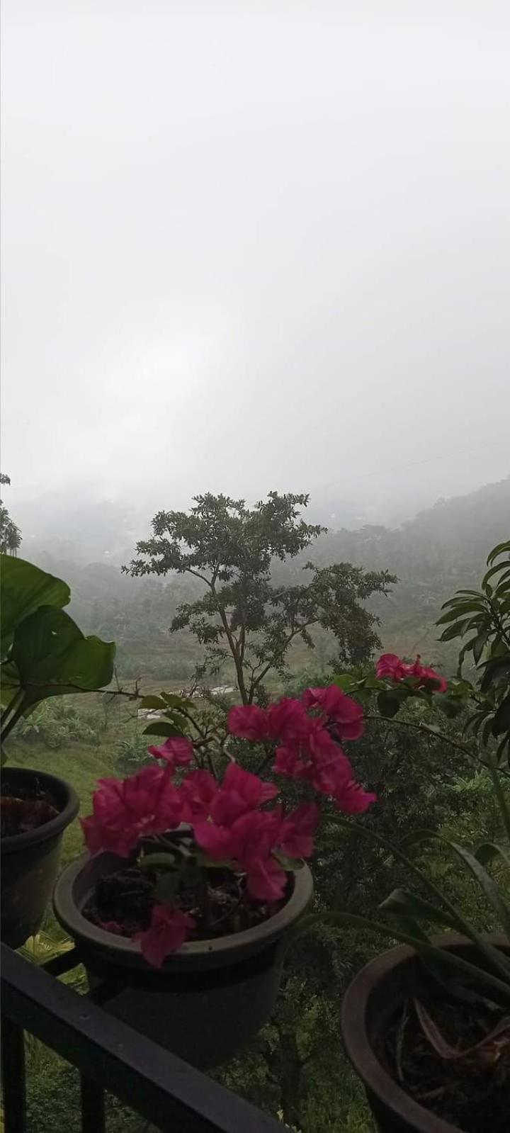 Kandy Ivy Mountain View Resort Exterior foto