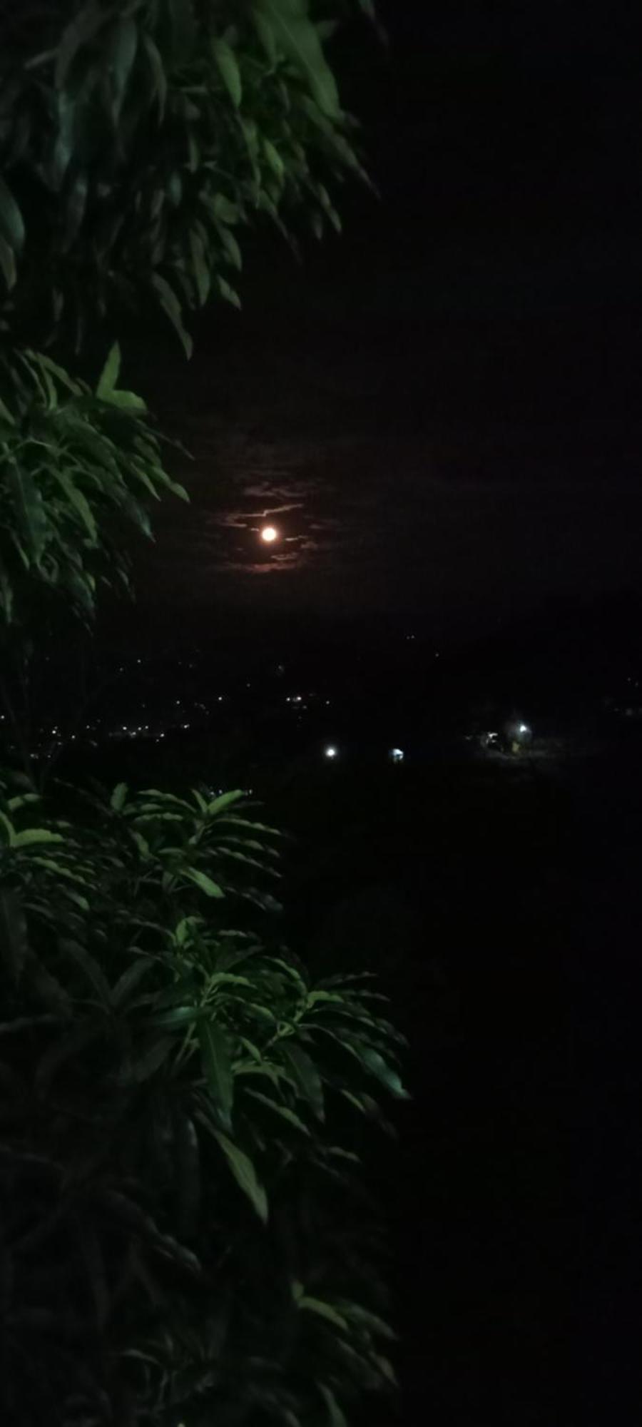 Kandy Ivy Mountain View Resort Cameră foto